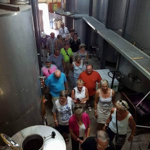 mavres winery crete (1)