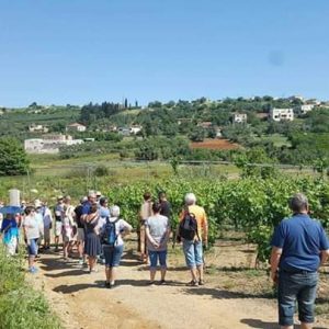 mavres winery crete (3)